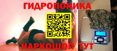 прущие крисы Кимры