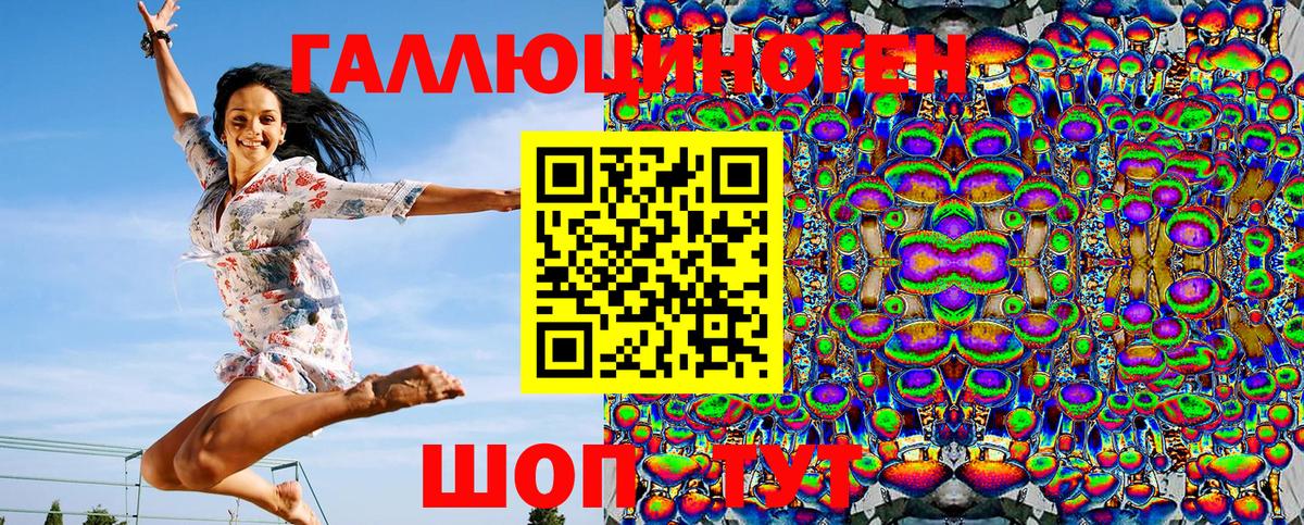 Галлюциногенные грибы Psilocybine cubensis  Псилоцибиновые грибы прущие грибы  Кыштым  Вход с VPN 
