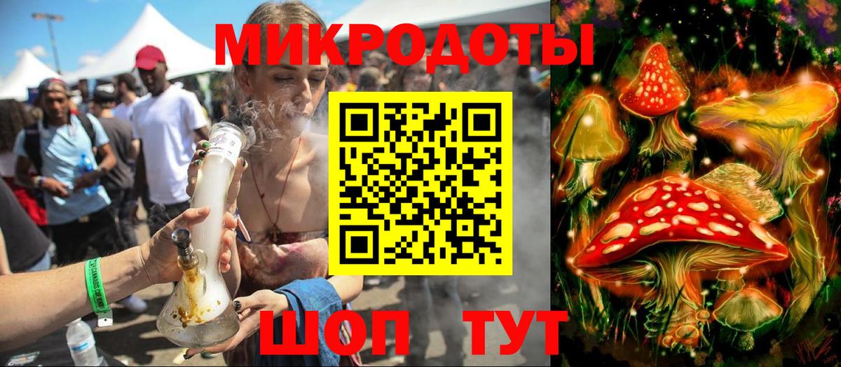 Галлюциногенные грибы Psilocybe Кыштым